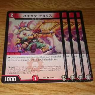 ハエタタ・チュリス