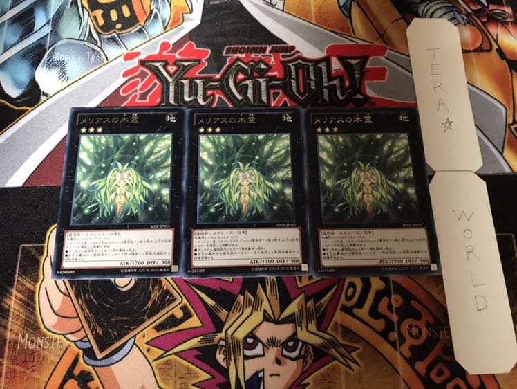 Meliae of the Trees Rare, Set of 3, Terra