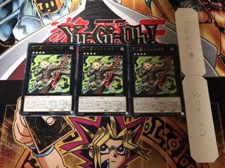 十二獣ワイルドボウ レア 3枚セット てら