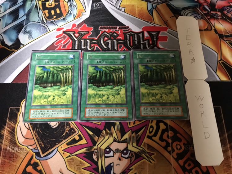 森 初期 レア 3枚セット てら