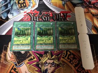 森 初期 レア 3枚セット てら