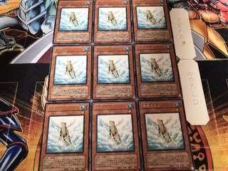 Treeborn Frog rare, set of 9, Tera.