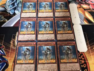 不知火の隠者 レア 9枚セット てら