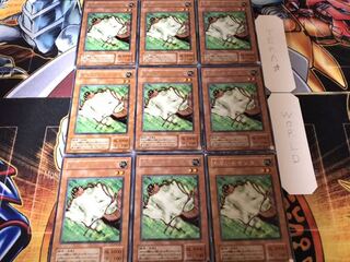 Nimble Momonga 2nd season ver Rare 9 piece set Terra