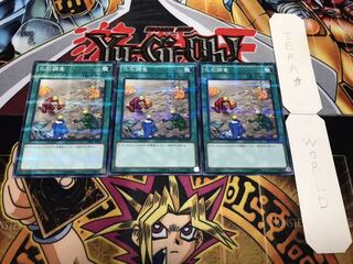 化石調査 ノーマルパラレル 3枚セット てら