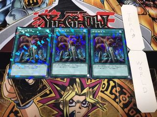 捕食接ぎ木 ノーマルパラレル 3枚セット てら