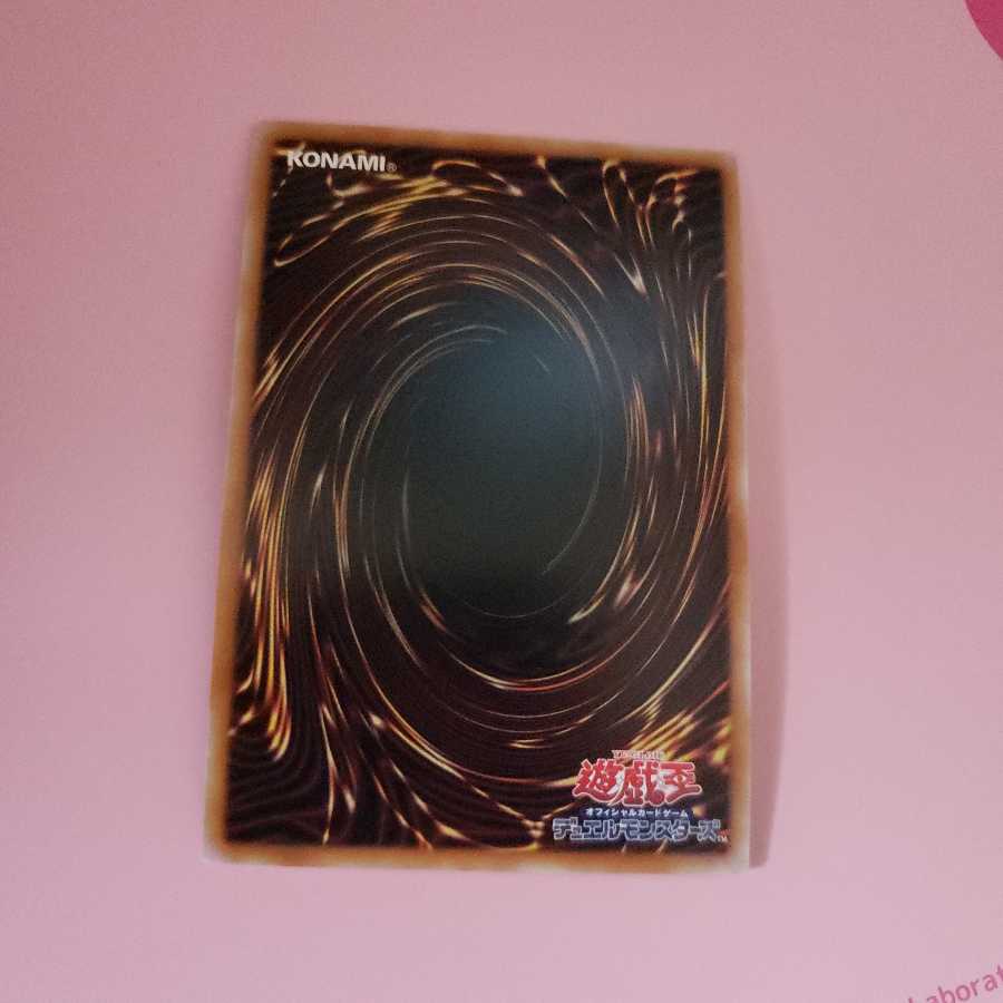 コード・エクスポーター　ウルトラレア