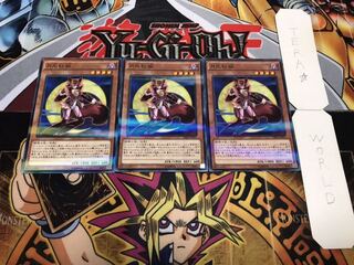 月光紅狐 ノーマルパラレル 3枚セット てら