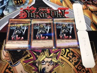 異次元の女戦士 ノーマルパラレル 3枚セット てら