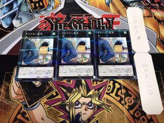 キキナガシ風鳥 ノーマルパラレル 3枚セット てら