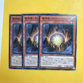 雷源龍-サンダー・ドラゴン