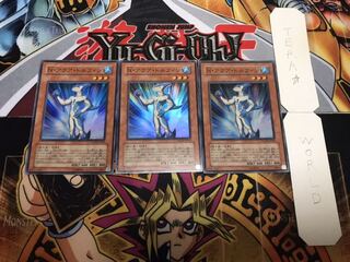 N・アクア・ドルフィン スーパー 3枚セット てら