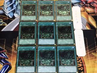 Hurricane Gold 9-Piece Set, Terra