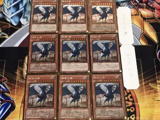 裁きの龍 ゴールド 9枚セット てら