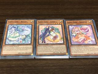 [North American edition: English] Fairy Princess Talia Kaguya Prinzessin (Declaration of the number of sets)