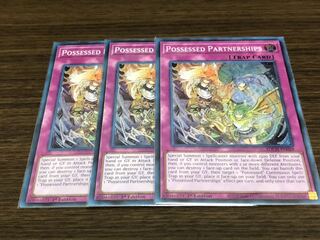 【北米版：英語】憑依連携３枚セット③