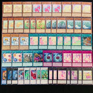 遊戯王 No.400 森のメルフィー ガチ構築 デッキ40枚＋EX15枚