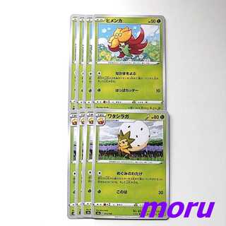 ワタシラガ ヒメンカ 進化ライン セット s4a シャイニースターV