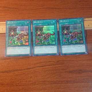 隣の芝刈り スーパーレア 3枚