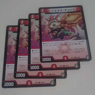 ハエタタ・チュリス