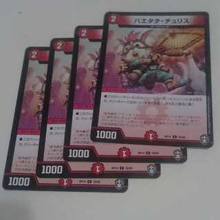 ハエタタ・チュリス