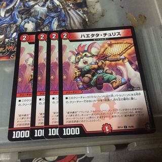 ハエタタ・チュリス 4枚セット