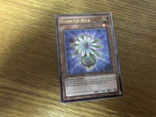 【遊戯王】グローアップ・バルブ 英語 1st レリーフ STBL-EN018