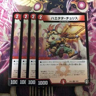 ハエタタ・チュリス　4枚