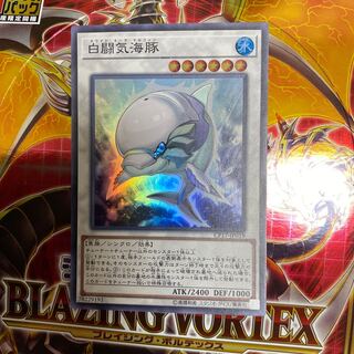 ◉白闘気海豚 スーパーレア