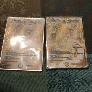 光神龍スペル・デル・フィン VR