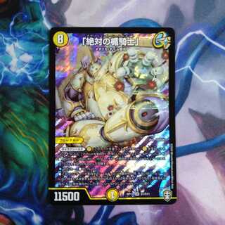 「絶対の楯騎士」