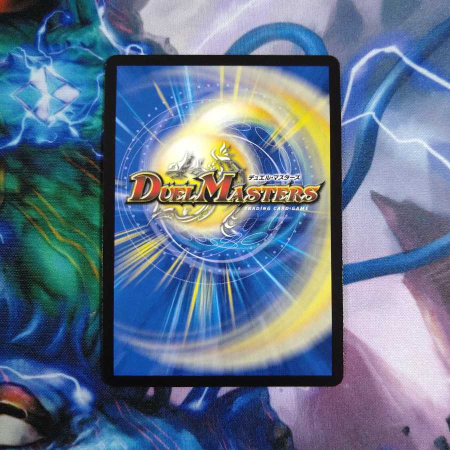 「絶対の楯騎士」