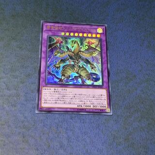 捕食植物トリフィオヴェルトゥム ウルトラレア