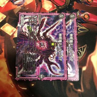 無修羅デジルムカデ　2枚