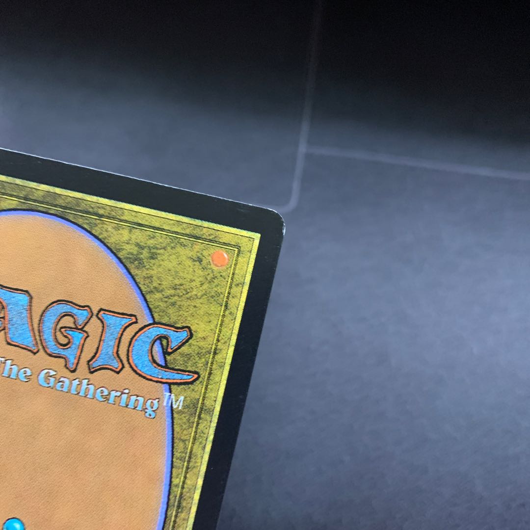 金属ミミック ①