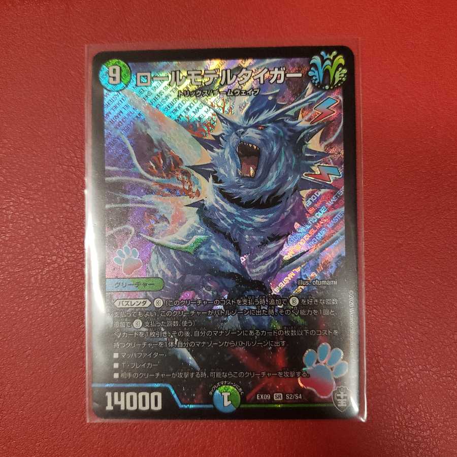 ロールモデルタイガー SR