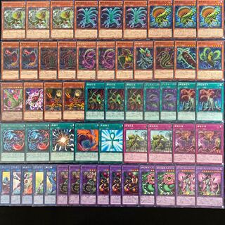 遊戯王 No.325 捕食植物 デッキ40枚＋15枚 フュージョン プレデター