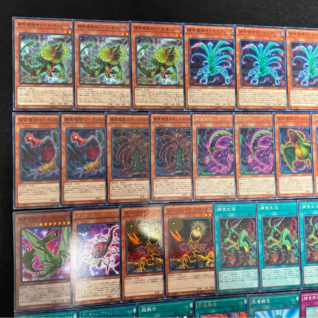 遊戯王 No.325 捕食植物 デッキ40枚+15枚 フュージョン プレデター