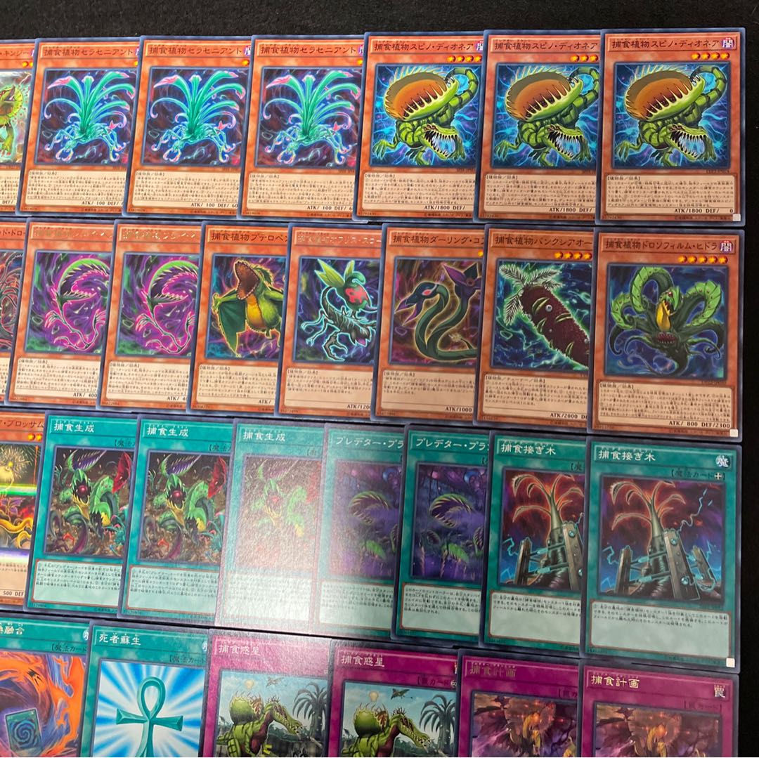 遊戯王 No.325 捕食植物 デッキ40枚+15枚 フュージョン プレデター