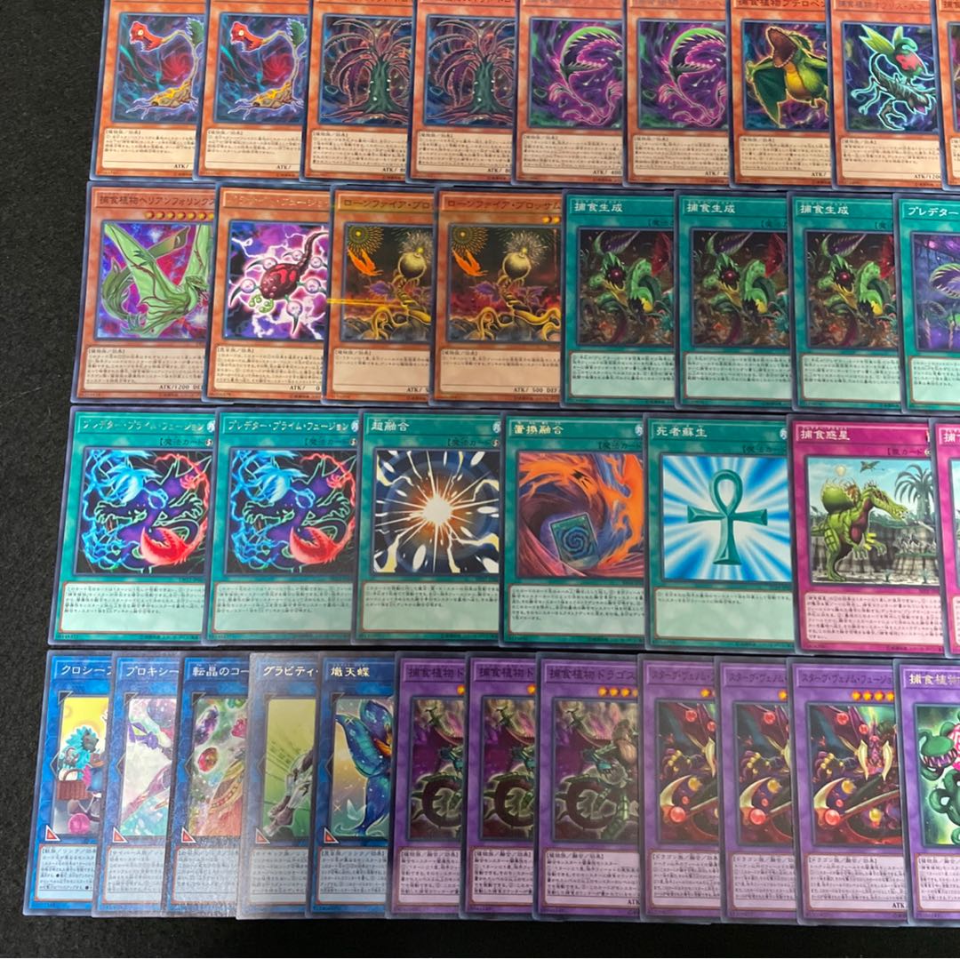 遊戯王 No.325 捕食植物 デッキ40枚+15枚 フュージョン プレデター