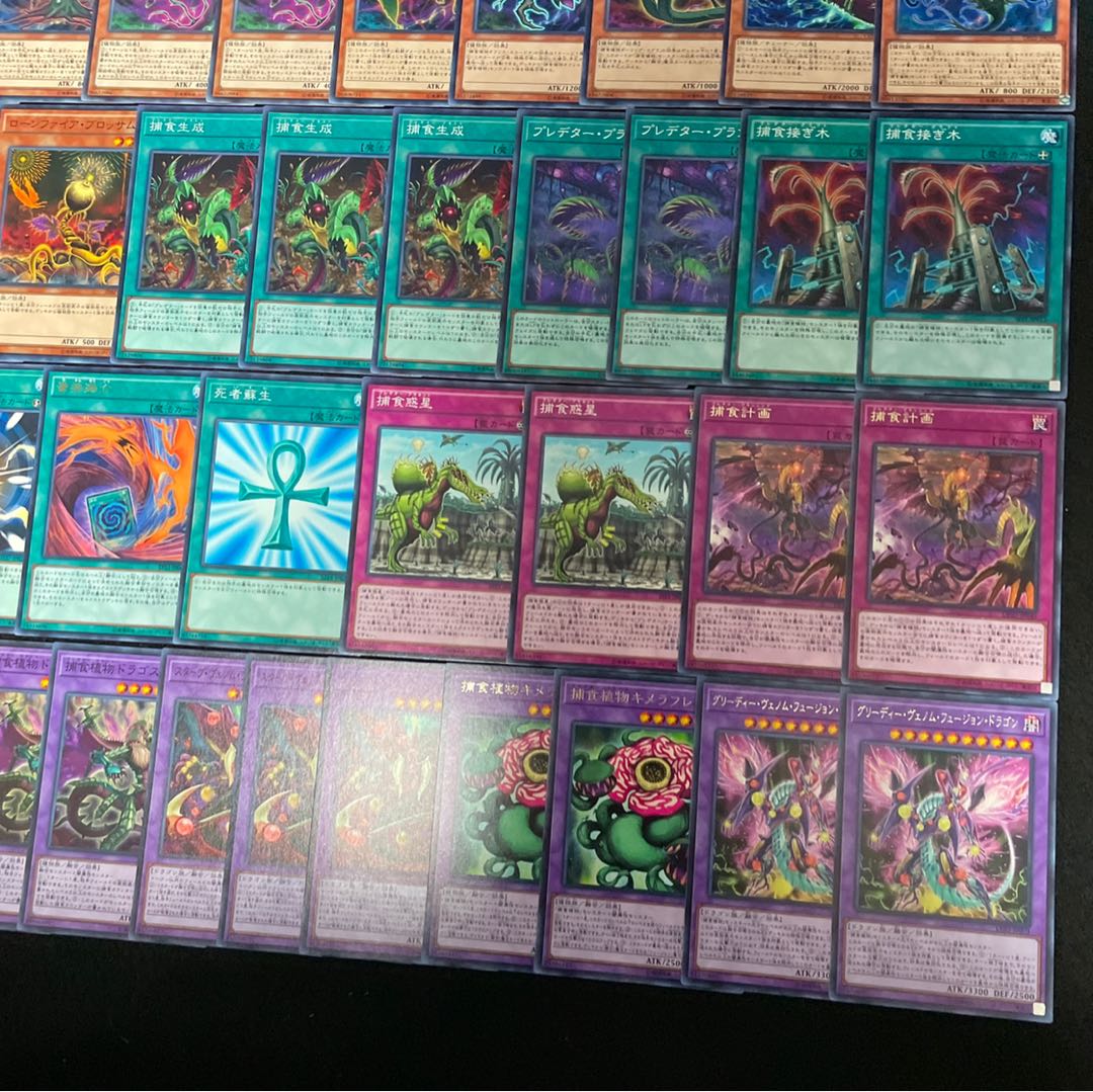 遊戯王 No.325 捕食植物 デッキ40枚+15枚 フュージョン プレデター