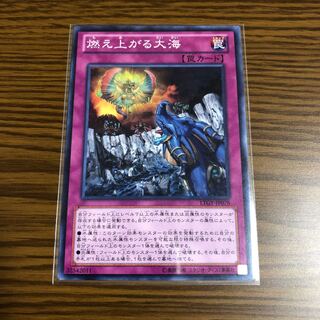 High Tide on Fire Island Normal