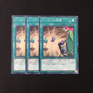 d581 ハーピィの狩場 3枚セット 遊戯王 トレトレ