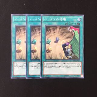d582 ハーピィの狩場 3枚セット 遊戯王 トレトレ