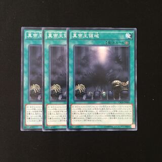 専用(二点)d584 真帝王領域 3枚セット 遊戯王 トレトレ