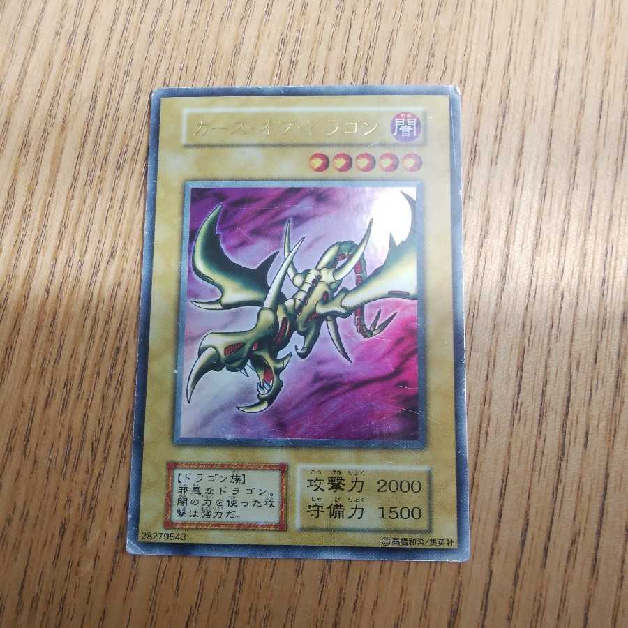 ブルーベリー様専用