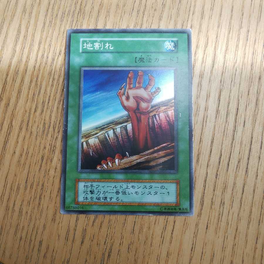 ブルーベリー様専用