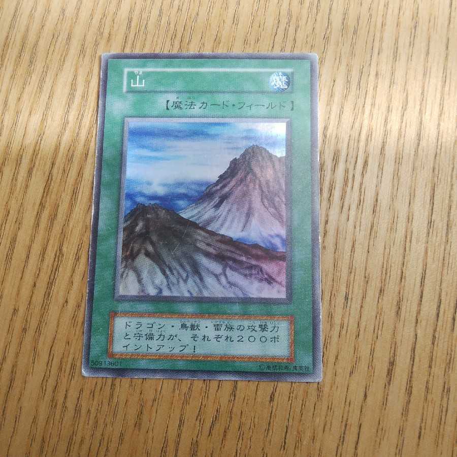 ブルーベリー様専用