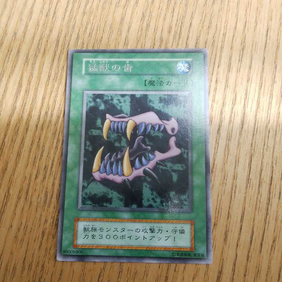 ブルーベリー様専用