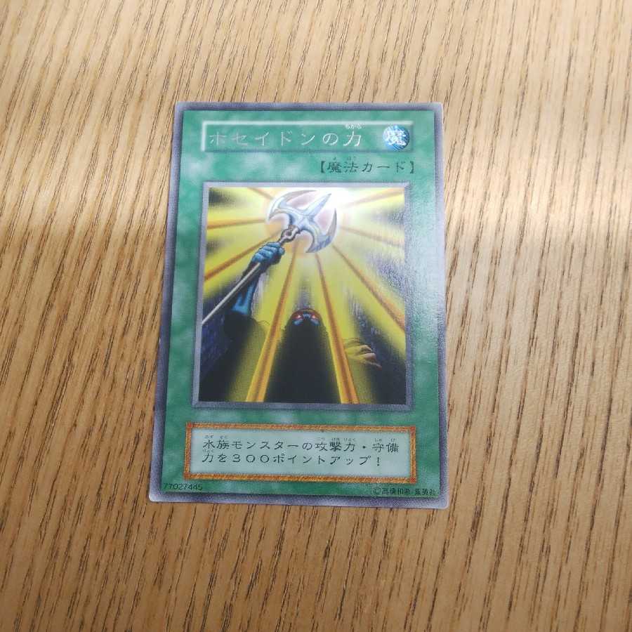 ブルーベリー様専用